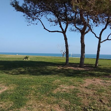 Acv- Acapulco Iv-1ª Linea Planta 2 Sur Lejlighed Oropesa del Mar Eksteriør billede
